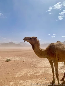 Sorry i couldn t post anything last weekend i was on the road to visit part 3