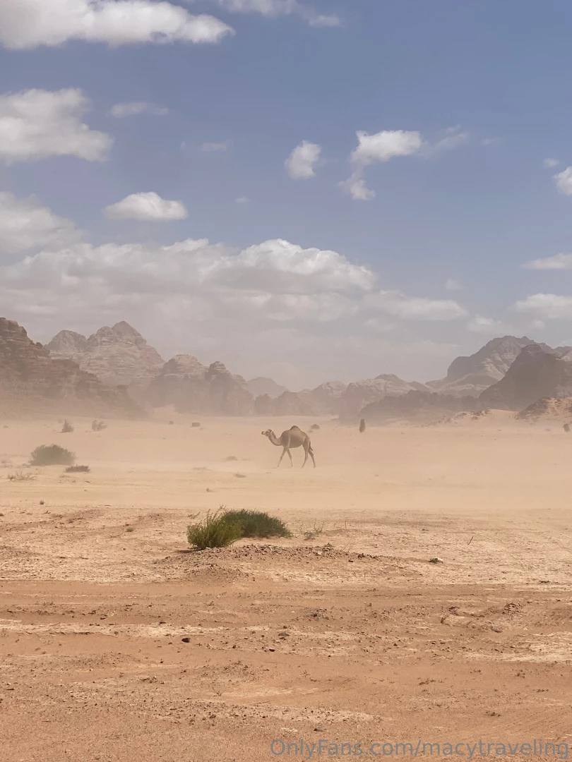 Sorry i couldn t post anything last weekend i was on the road to visit part 7 