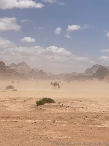 Sorry i couldn t post anything last weekend i was on the road to visit part 7