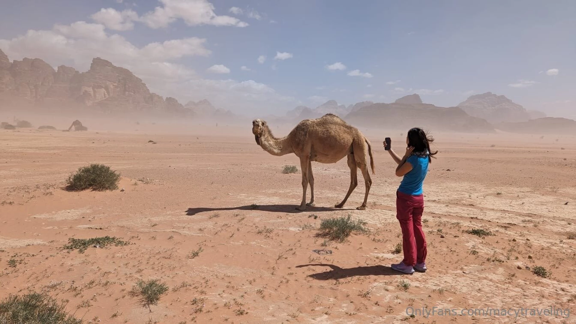 Sorry i couldn t post anything last weekend i was on the road to visit part 14 