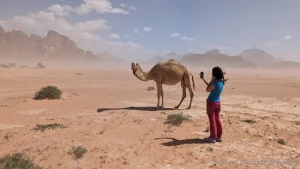 Sorry i couldn t post anything last weekend i was on the road to visit part 14