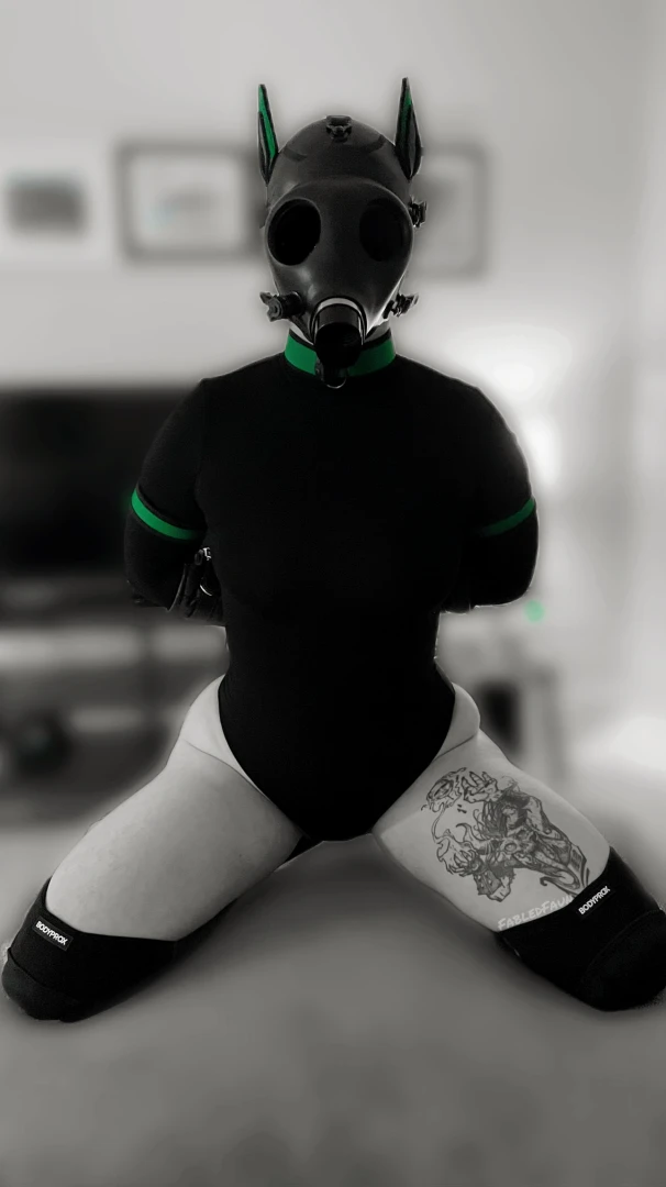 Dronification of this pup has progressed to fur assimilation no more part 3 