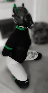 Dronification of this pup has progressed to fur assimilation no more part 2