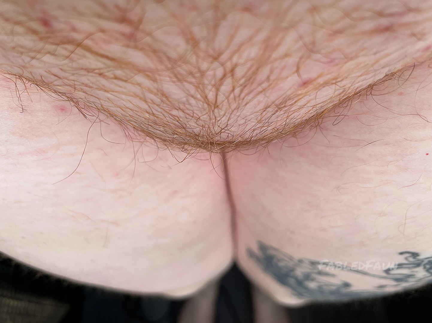 Fuzzy little lad i am i m loving getting darker and thicker hair on my part 2 
