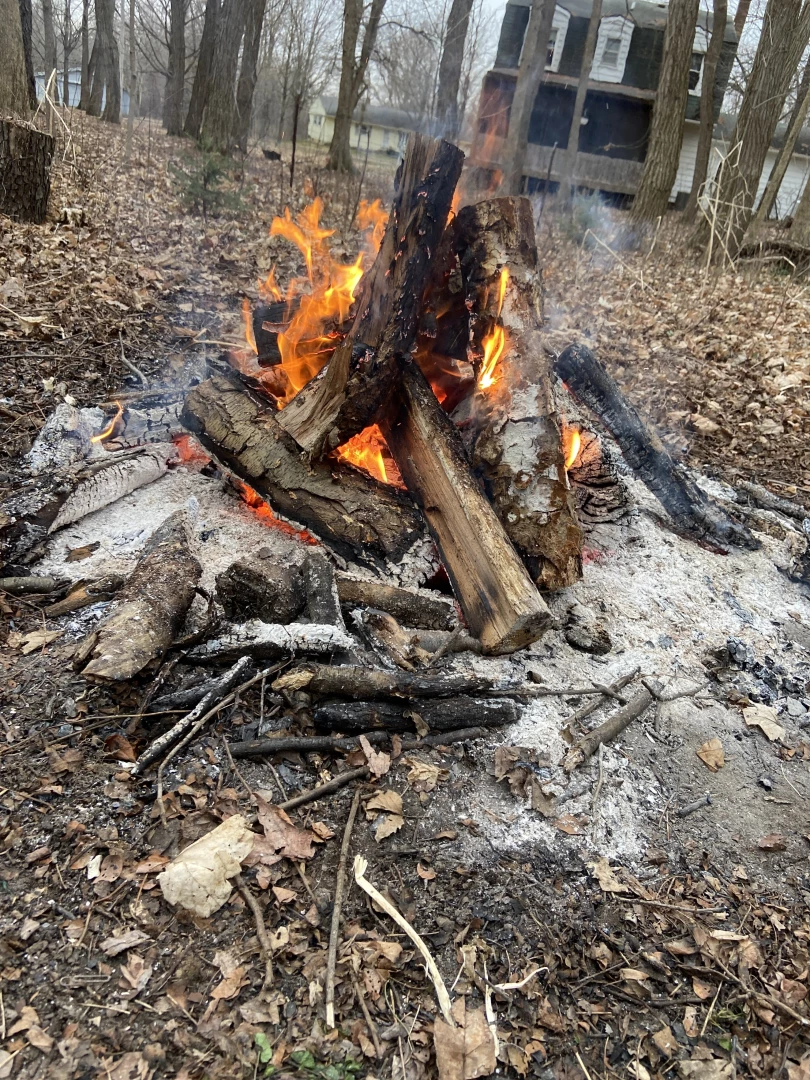Who wants to suck my dick next to this fire 