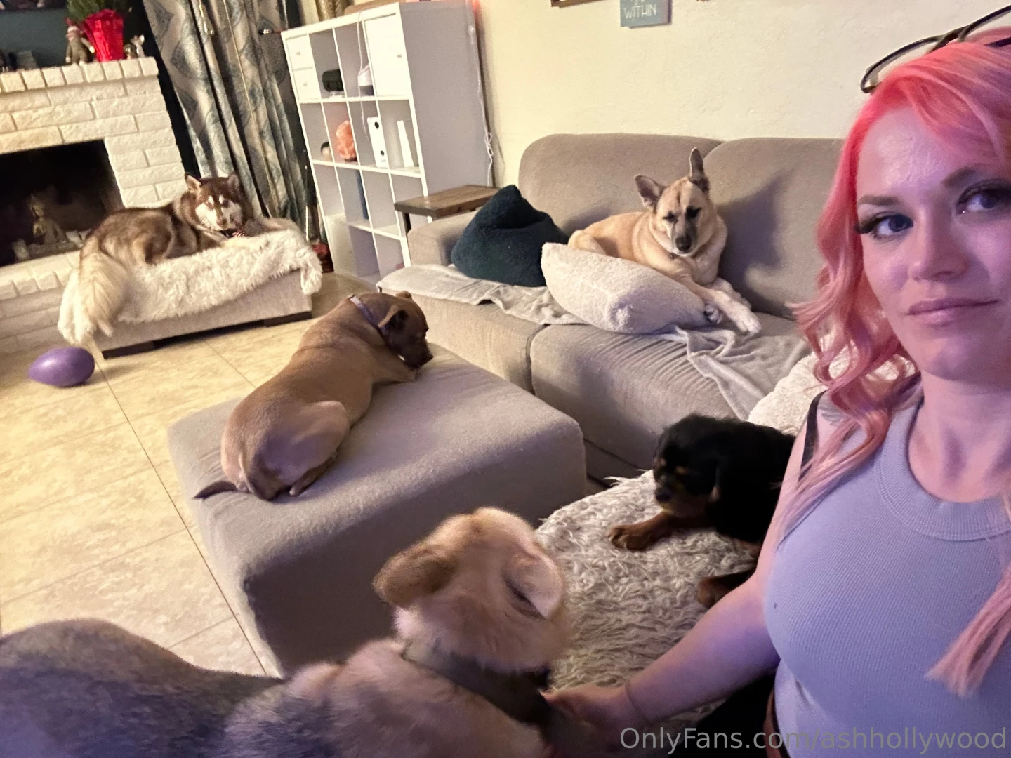You can join the pack but you get to start on the floor my pets must 