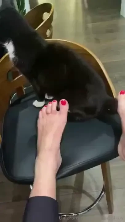 Kitties and toes 