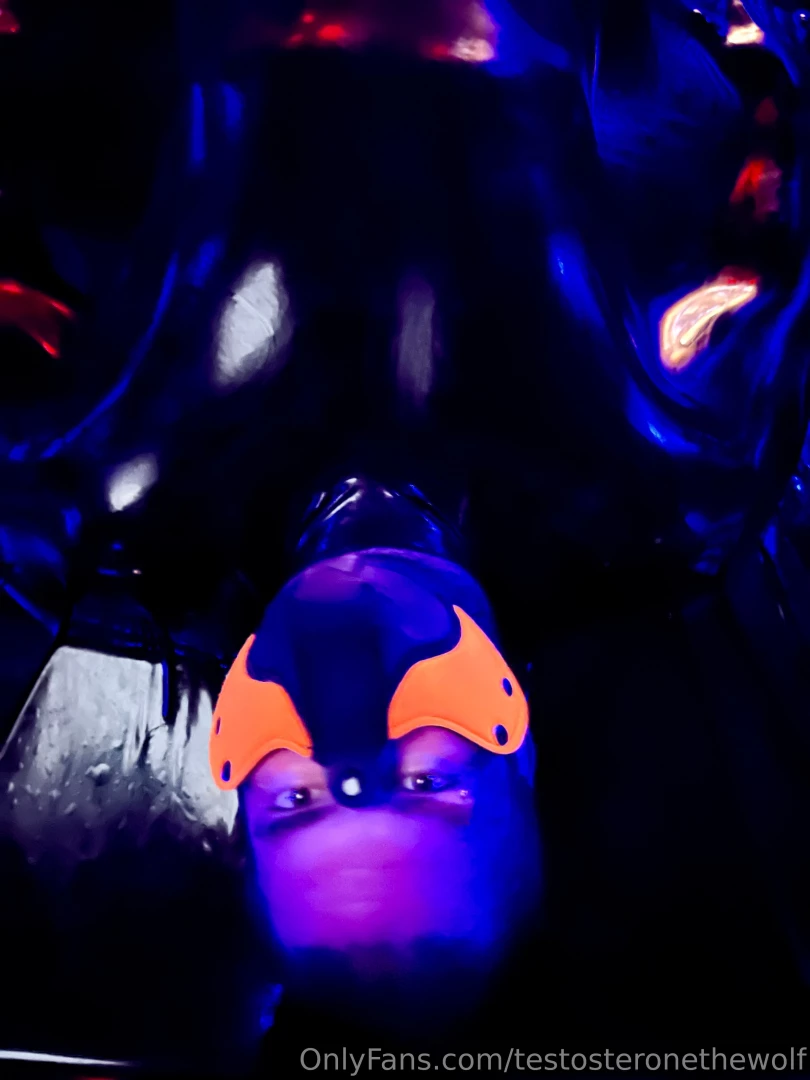 Latex vacuumed pup part 4 