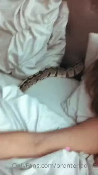 Anybody fuck with snakes this is my pet ball python named bo i have 