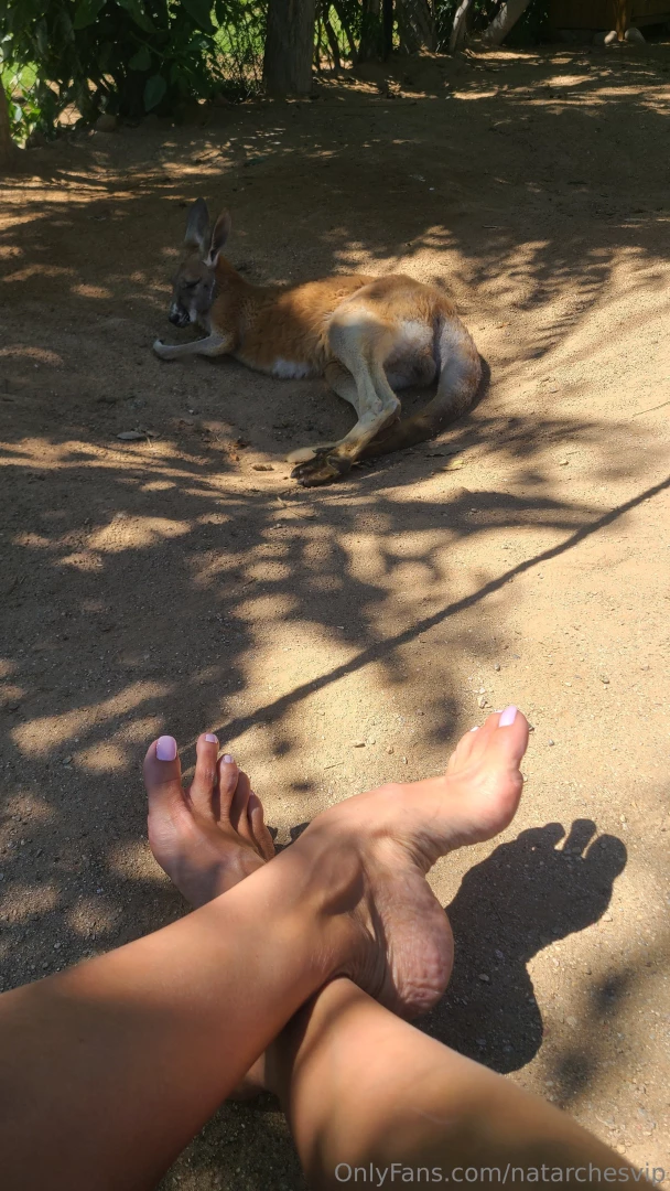 I come from a land down under part 1 