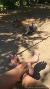 I come from a land down under part 1