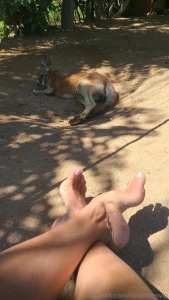 I come from a land down under