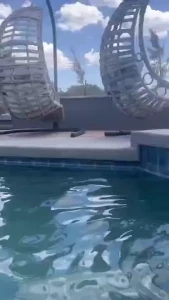 A sexy game of marco polo