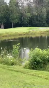 Golfing with nadiafoxx69