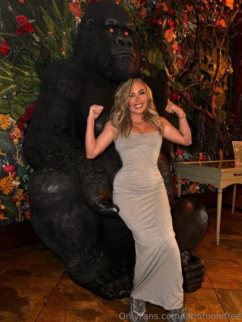 Looking for my own gorilla 