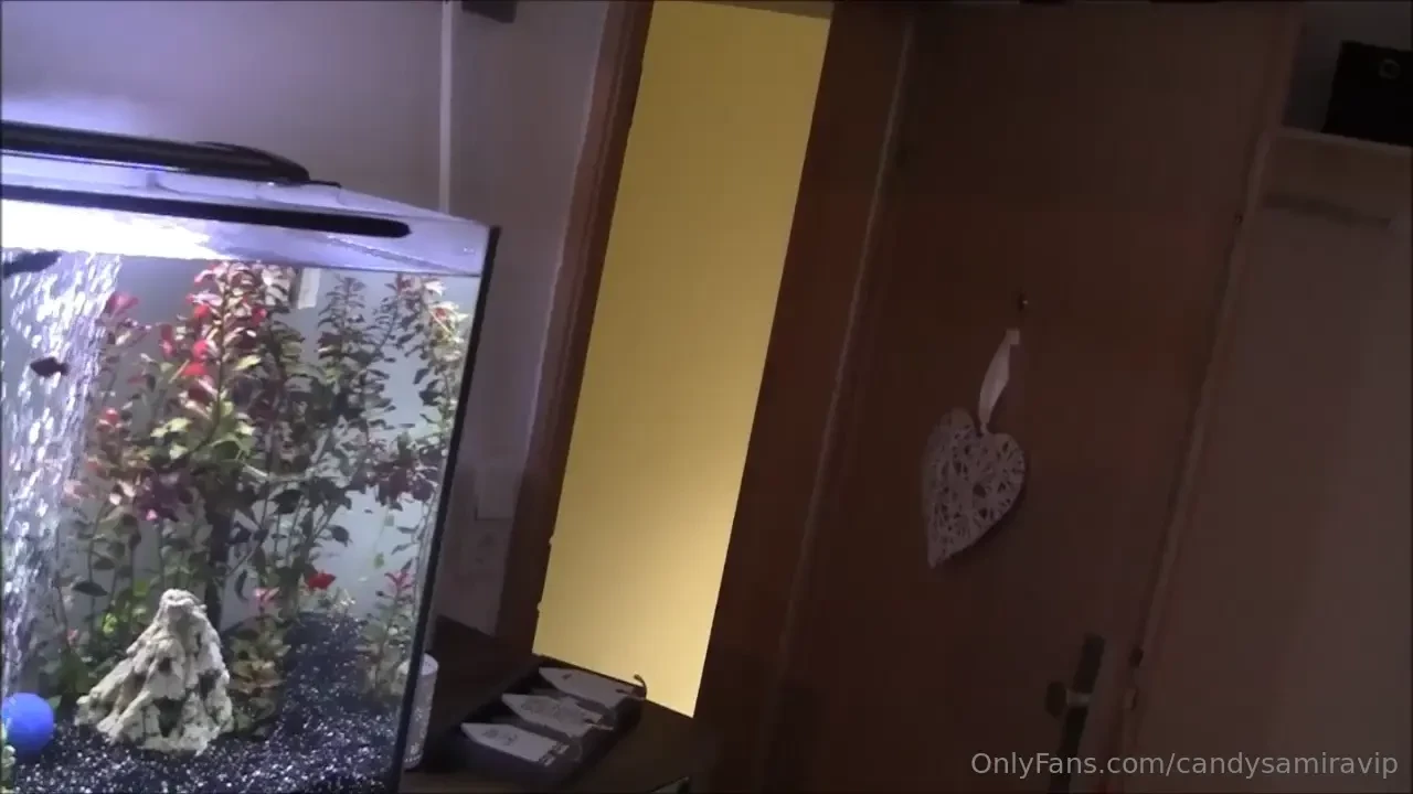 House girl fucked by the husband as usual i went to my job as a house 
