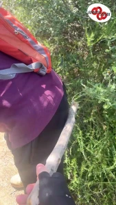 Little mikey mike_ownedbygs was following me a little to close and for part 3