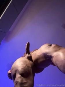 My throbbing cock towering over you