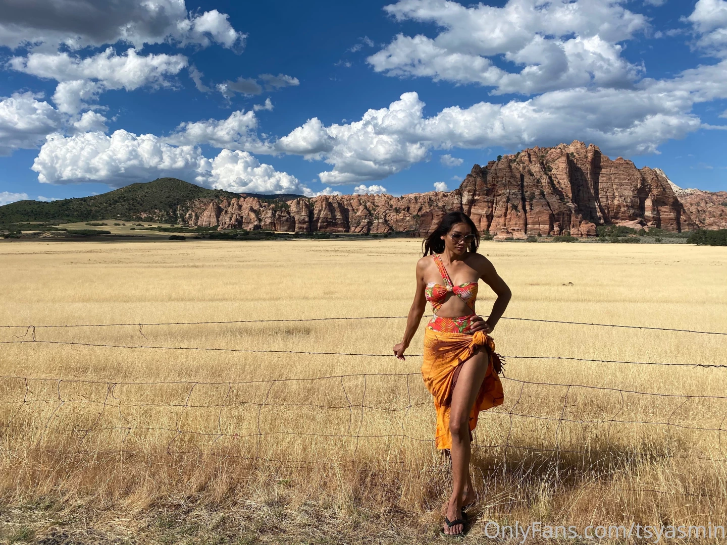 On my way to a lake near zion national and we saw this gorgeous scenic 