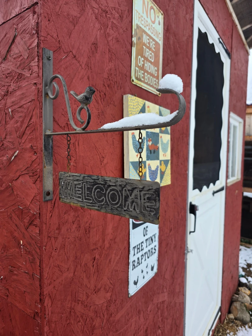 For those who know my vanilla side you know i love my birds we had 