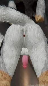 Go ahead give it a kiss lt 3