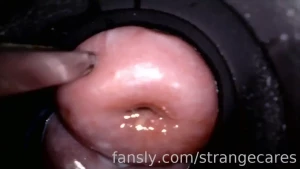 Doesn t my cervix look soft and plush when i poke it with a set of