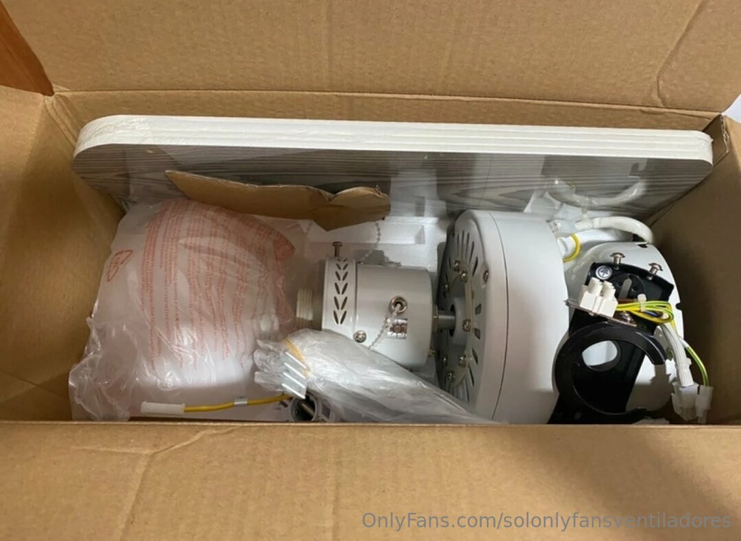 Sunday pack for holidays 