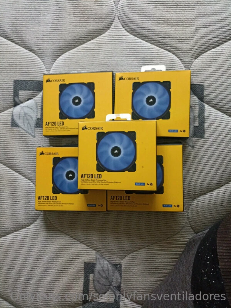 Today for the gamers 