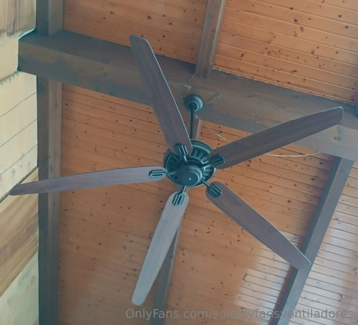 Sunday views from the hammoc 