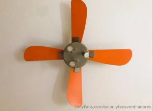 Happy new year 100 followers