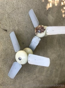 Tomorrow will come back in twitter