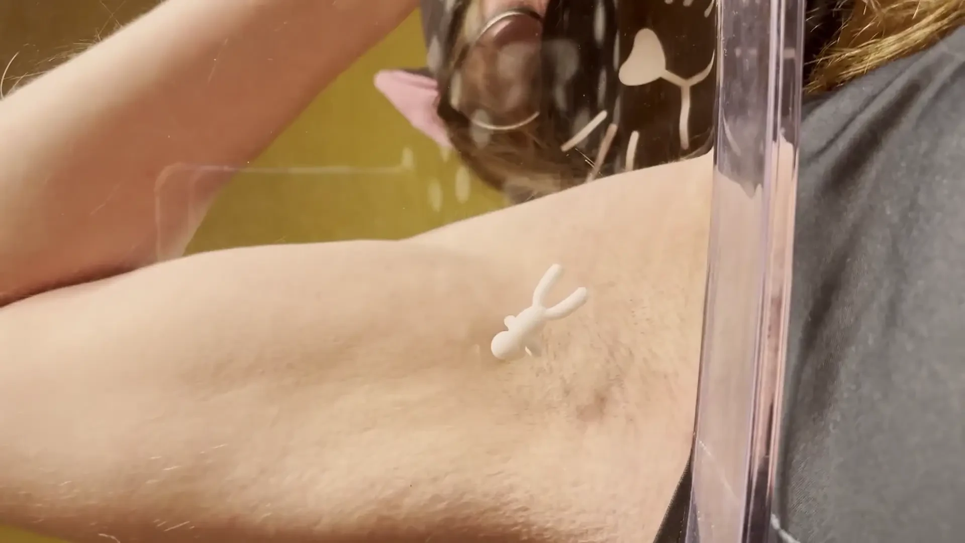 Get squished by big kitty armpit nerddd 33 armpit macrophilia 