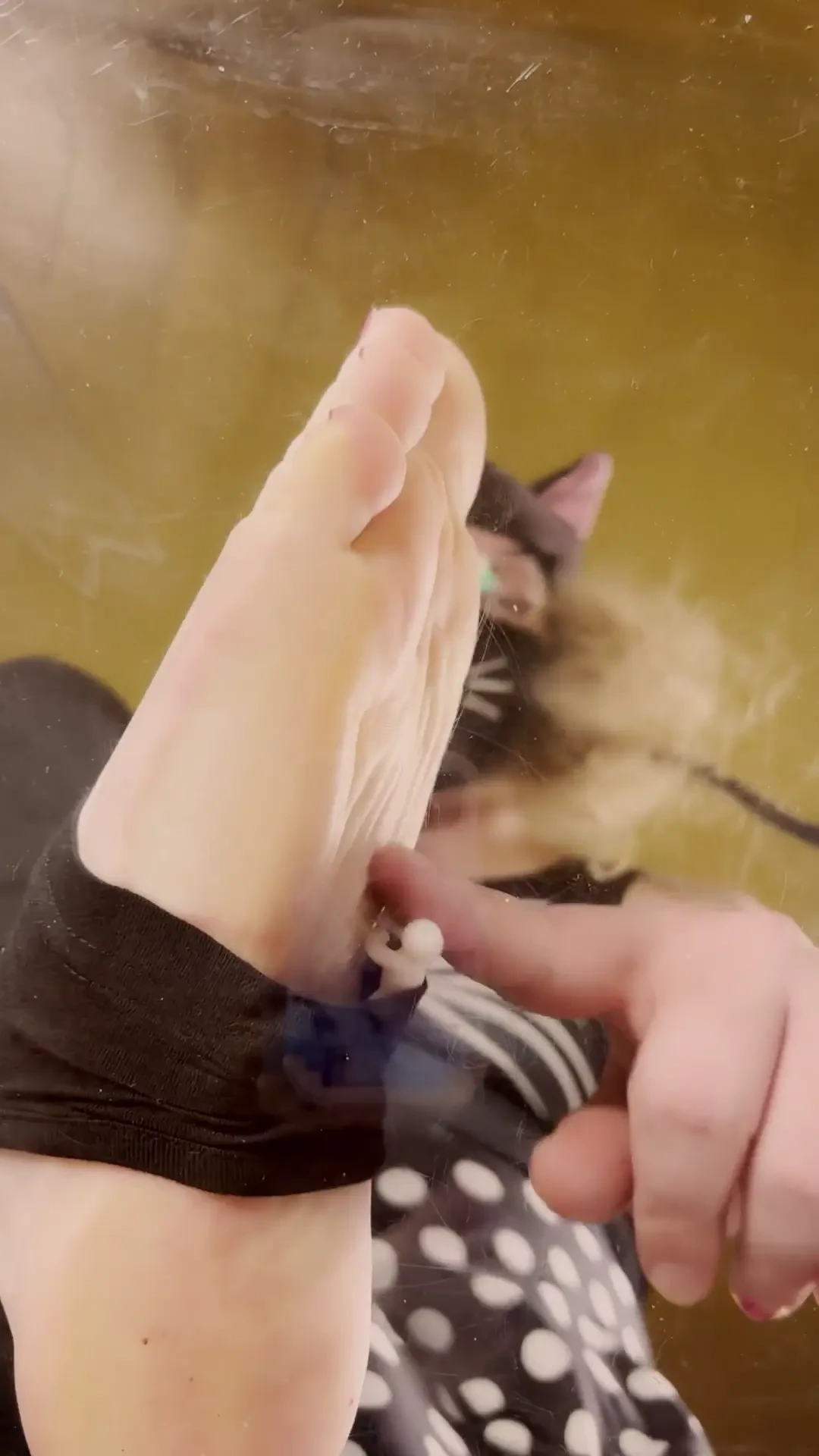 This is what it will be like to be my foot-toy so like only apply if 