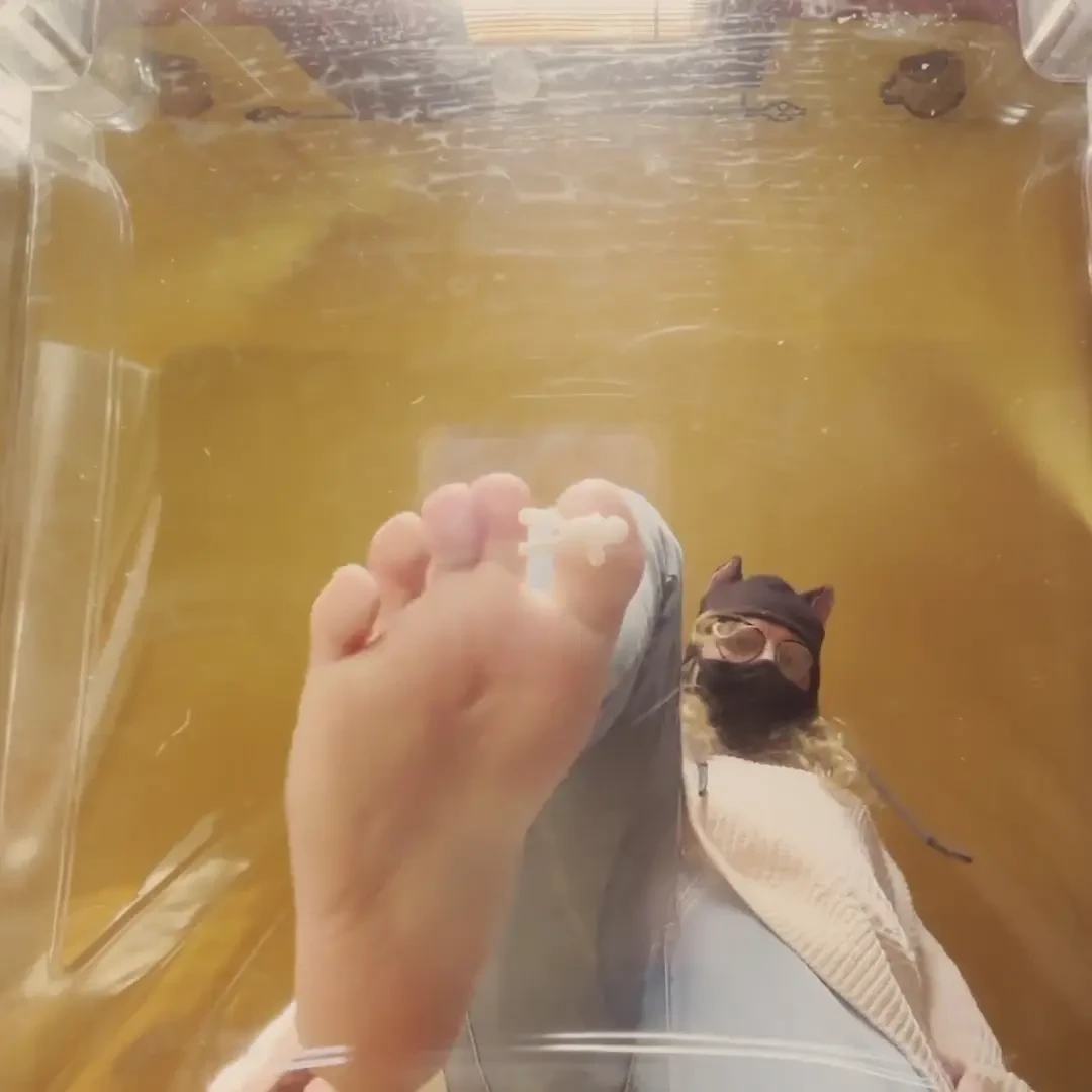 Barefoot jeans stompy 3 barefoot jeans feet stomping 