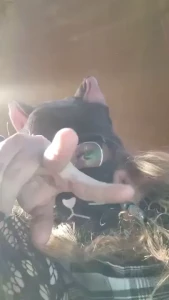 I discovered a tiny toy on my floor i then did the natural thing that