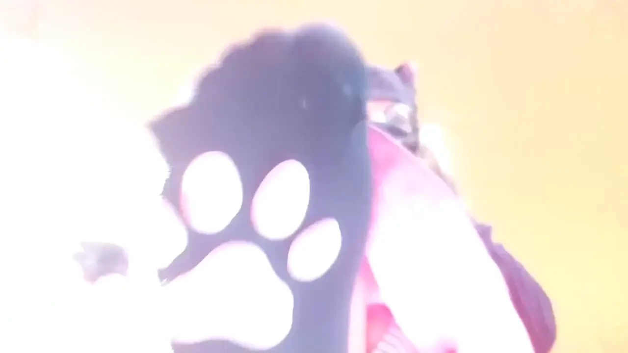 It is kitty play times paws ass and more paws good luck to all the 