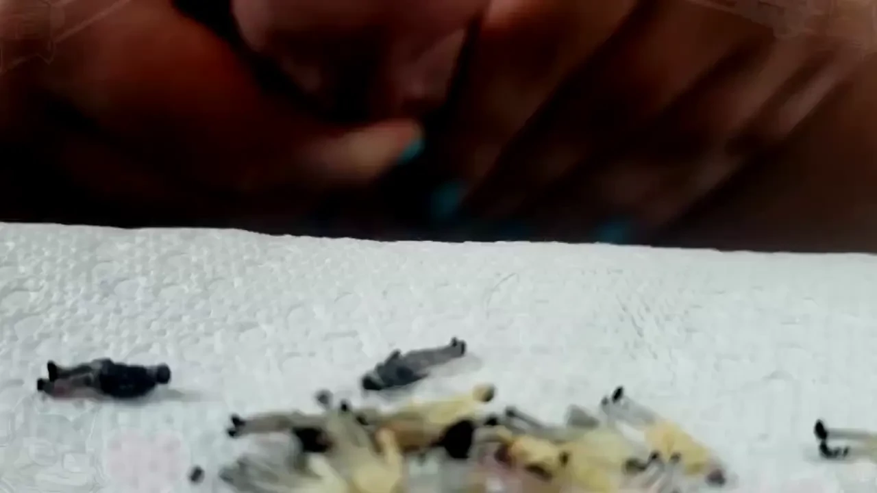 A crowd of folks getting a big taste of my cock ready and hungry to 