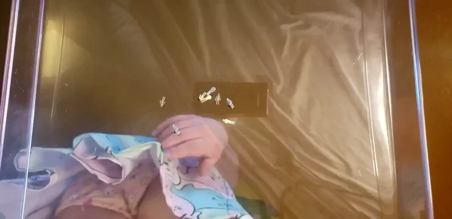 Underglass fun with my butt- both panty clad and nude fuck it s just 