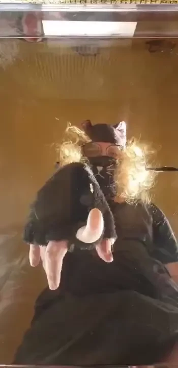 From the front of my thong to the back- 3 