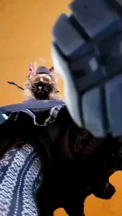 Meow puts you in my shoe after you gets a stompies or two - crunchy 