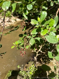 Day by the river do you like to spend time in nature part 2