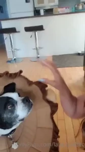 I had to share with you too funny