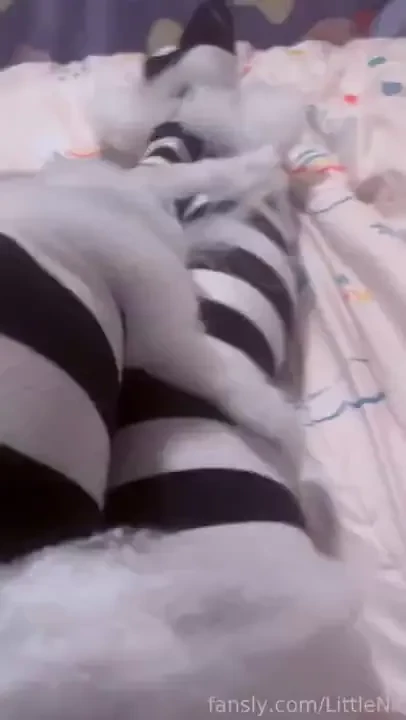 Please help me onii i m stuck in these sticky spider webs legs thighs 