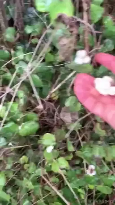 I am very curious about what really excites you or what you prefer i 