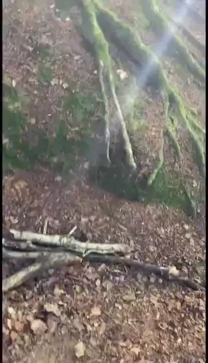 This is my little storytelling about my first sensual encounter with a 