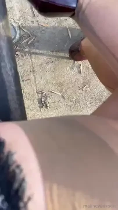 It is a cold but sunny day and i came to the park with my camera to 