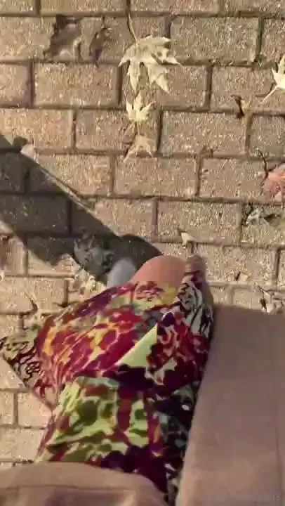 Come on a little christmas spirit date with me listen to my story and 