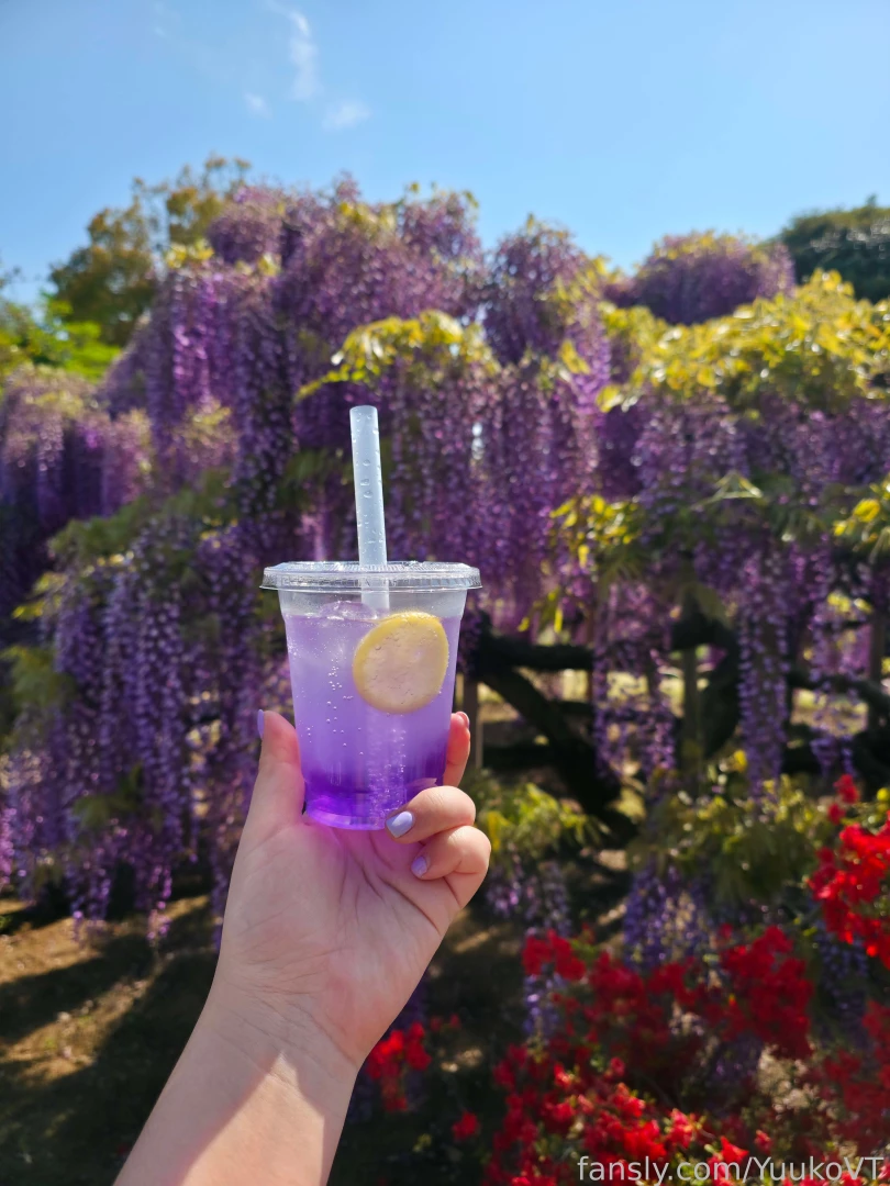 Wisteria my favourite flower i m so dead from flying and doing so many 