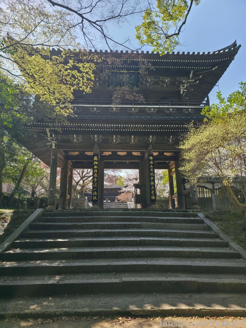 It s spring so there will be many sakura pictures every time i see part 2 