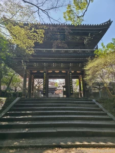 It s spring so there will be many sakura pictures every time i see part 2